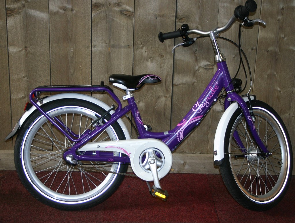 Skyride